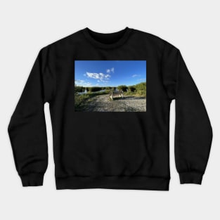 Florida Everglades Bench Crewneck Sweatshirt